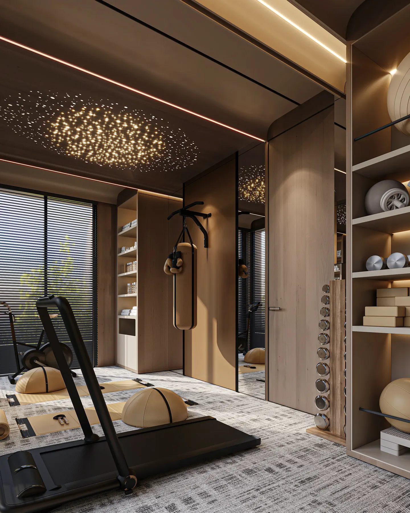 Riyadh Lounge & Gym: Home Gym, view 2 of 2